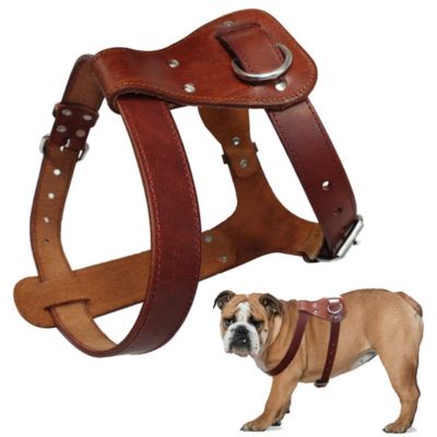 harnais-chien-cuir-brun-en-h-confort