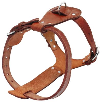 harnais-chien-cuir-brun-en-h-resistant