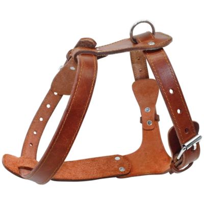 harnais-chien-cuir-brun-en-h