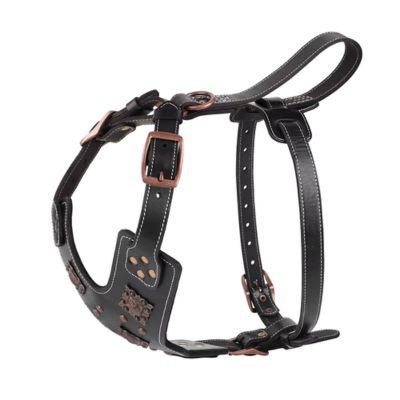 harnais-chien-cuir-solide