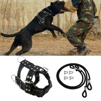 harnais-de-traction-chien-entrainement
