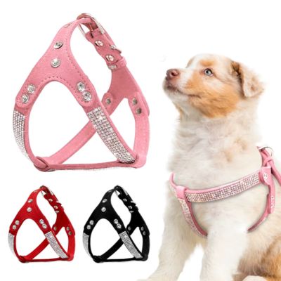 harnais-petit-chien-couleur-chiot