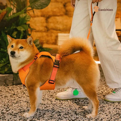 harnais-pour-chien-coter