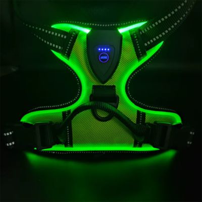 harnais-pour-chien-lumineux-vert-fluo