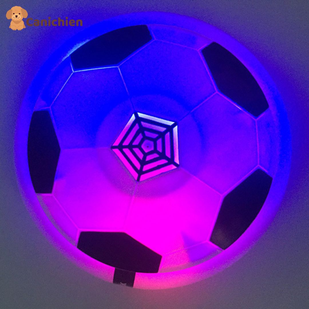 Jeu d'occupation chien | WoofAir™