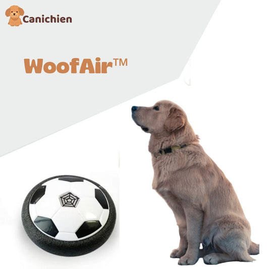 Jeu d'occupation chien | WoofAir™