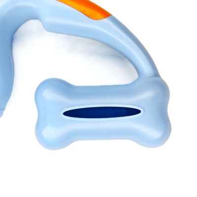 laisse-chien-sac