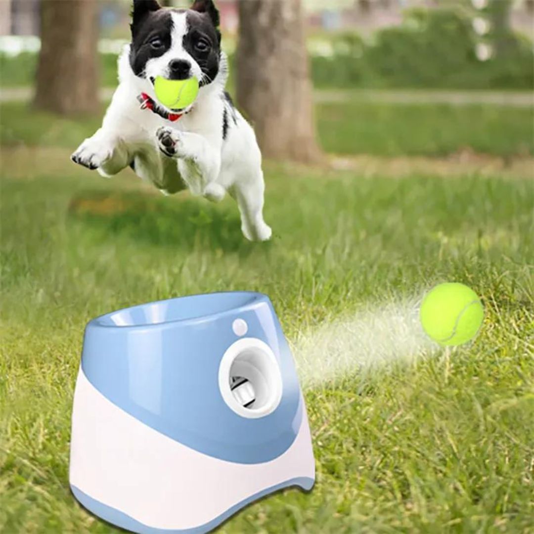 lanceur-de-balle-pour-chien-bleu-infatigable