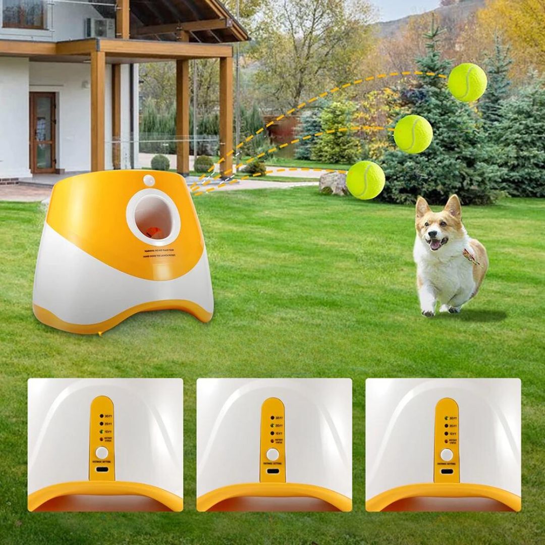 Lanceur de balles | RocketDog™