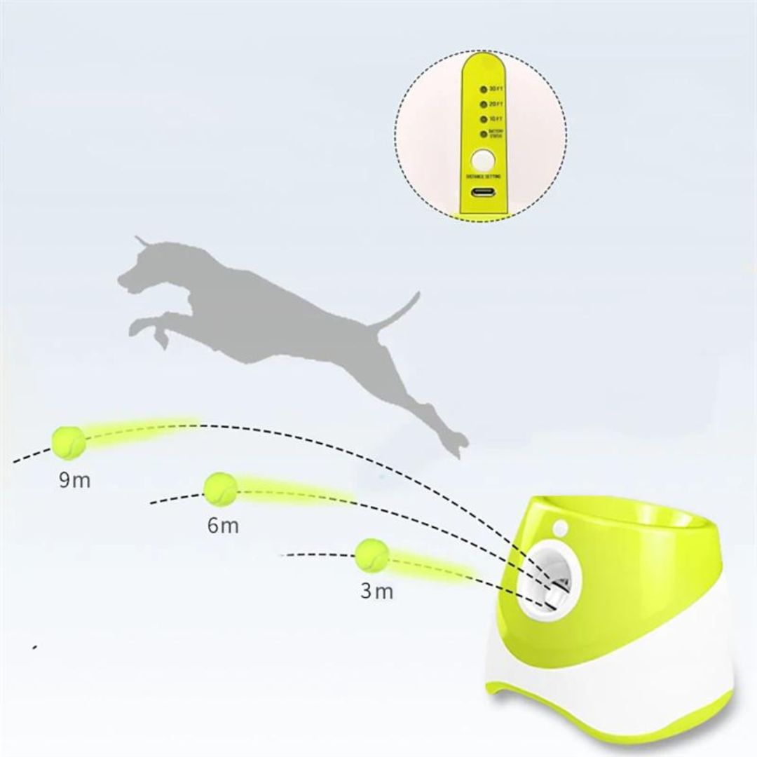 lanceur-de-balle-pour-chien-distance