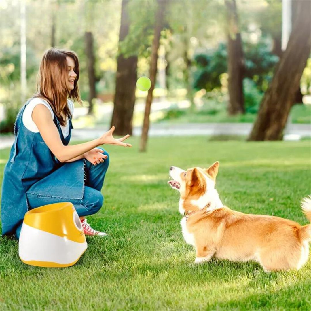 lanceur-de-balle-pour-chien-exterieur