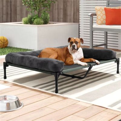 lit-de-camp-chien-grand