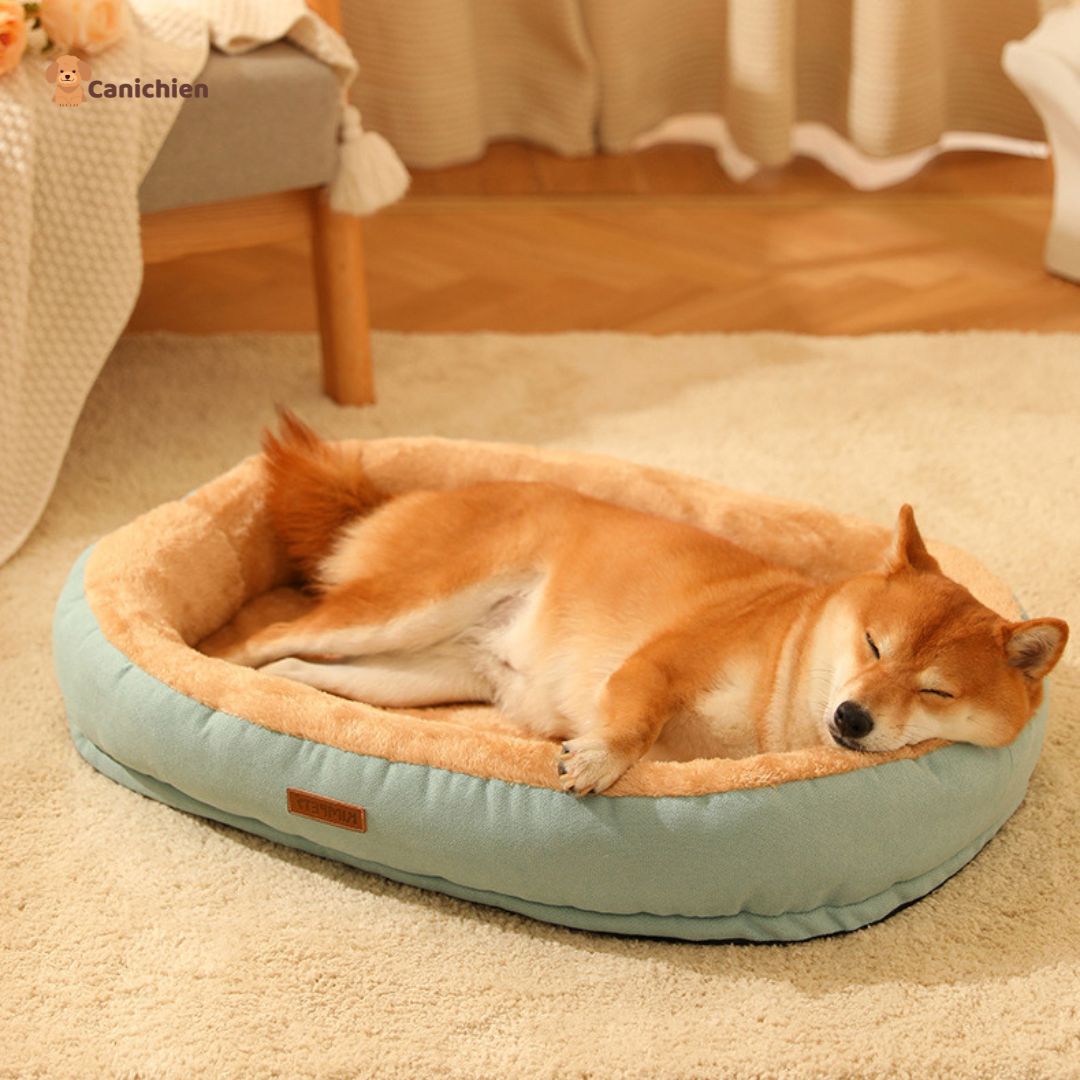 lit-pour-chien-vert-variante
