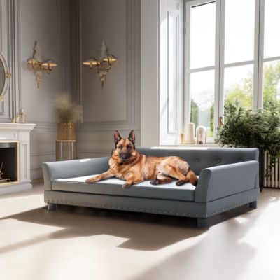 lit-sureleve-chien-grand