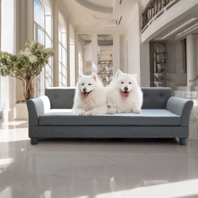 lit-sureleve-chien-gris