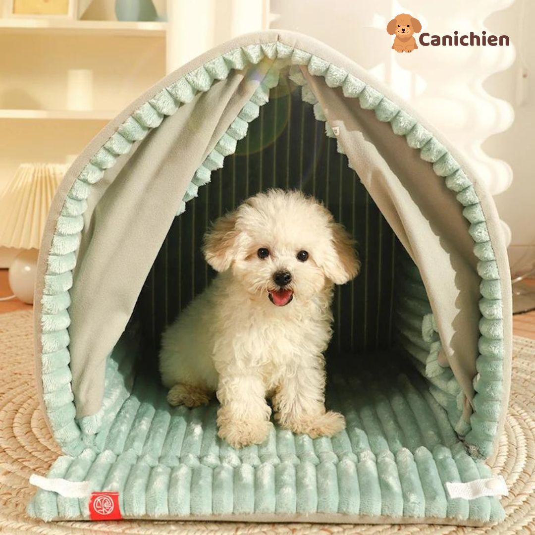 maison-pour-chien-de-face