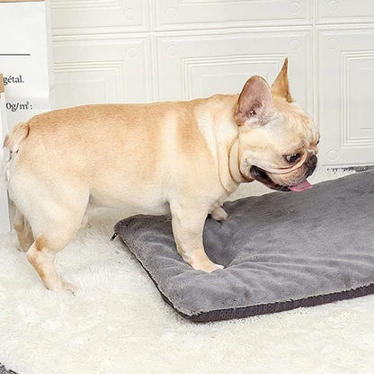 matelas-pour-chien-coussin-apaisant
