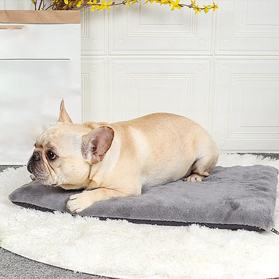 matelas-pour-chien-gris-deoussable