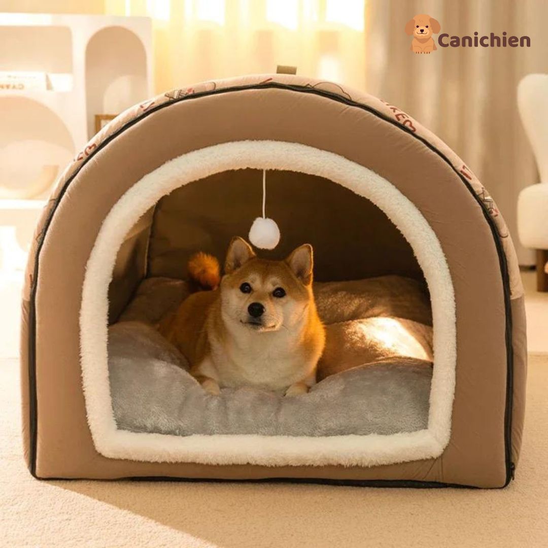 niche-pour-chien-interieur-vue-de-face