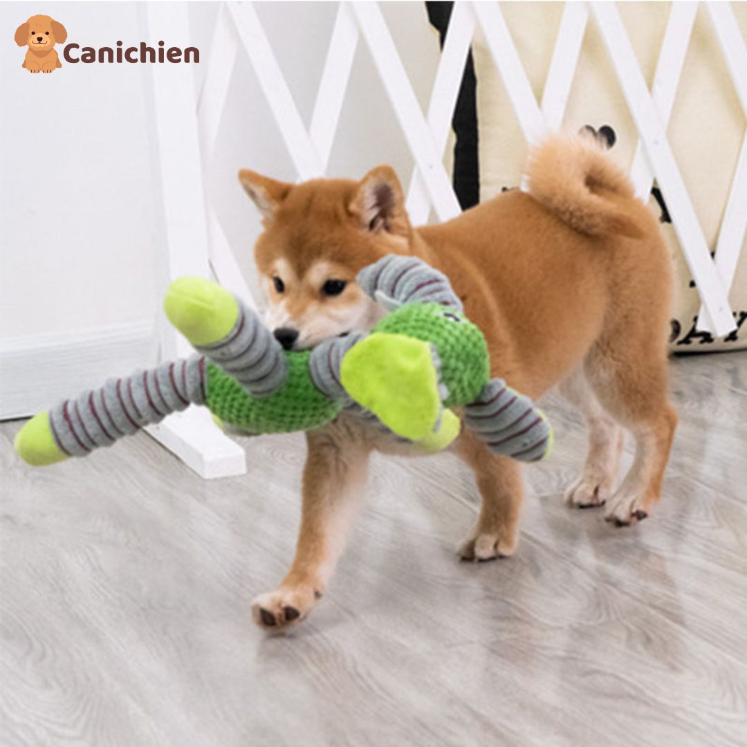 peluche-pour-chien-elephant