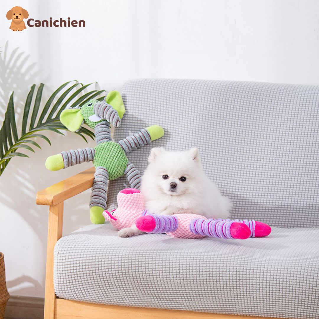 peluche-pour-chien-interieure
