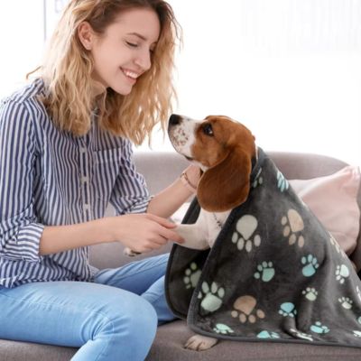plaid-chien-pate-reconfortant