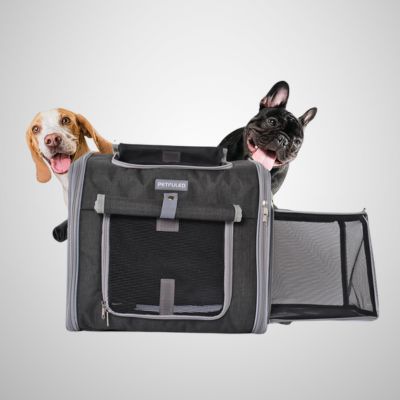 sac-a-dos-chien-extension
