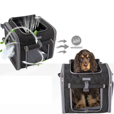 sac-a-dos-chien-ventilation