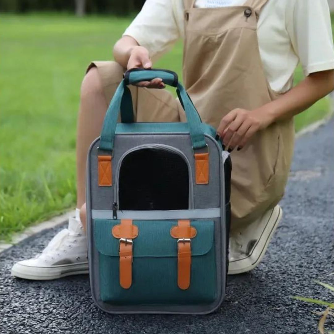 sac-a-dos-chien-vert