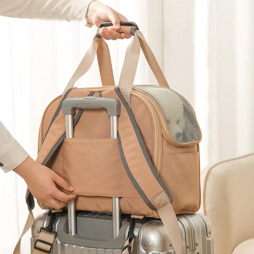 sac-a-dos-pour-chien-sur-valise