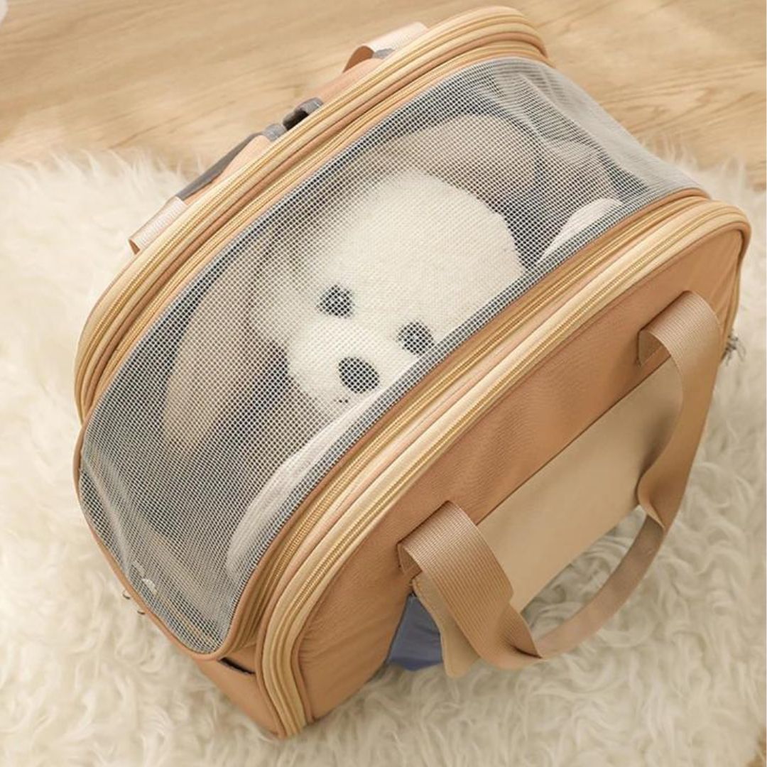 sac-a-dos-pour-chien-vue-du-haut