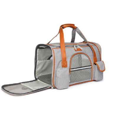 sac-transport-chien-gris-clair