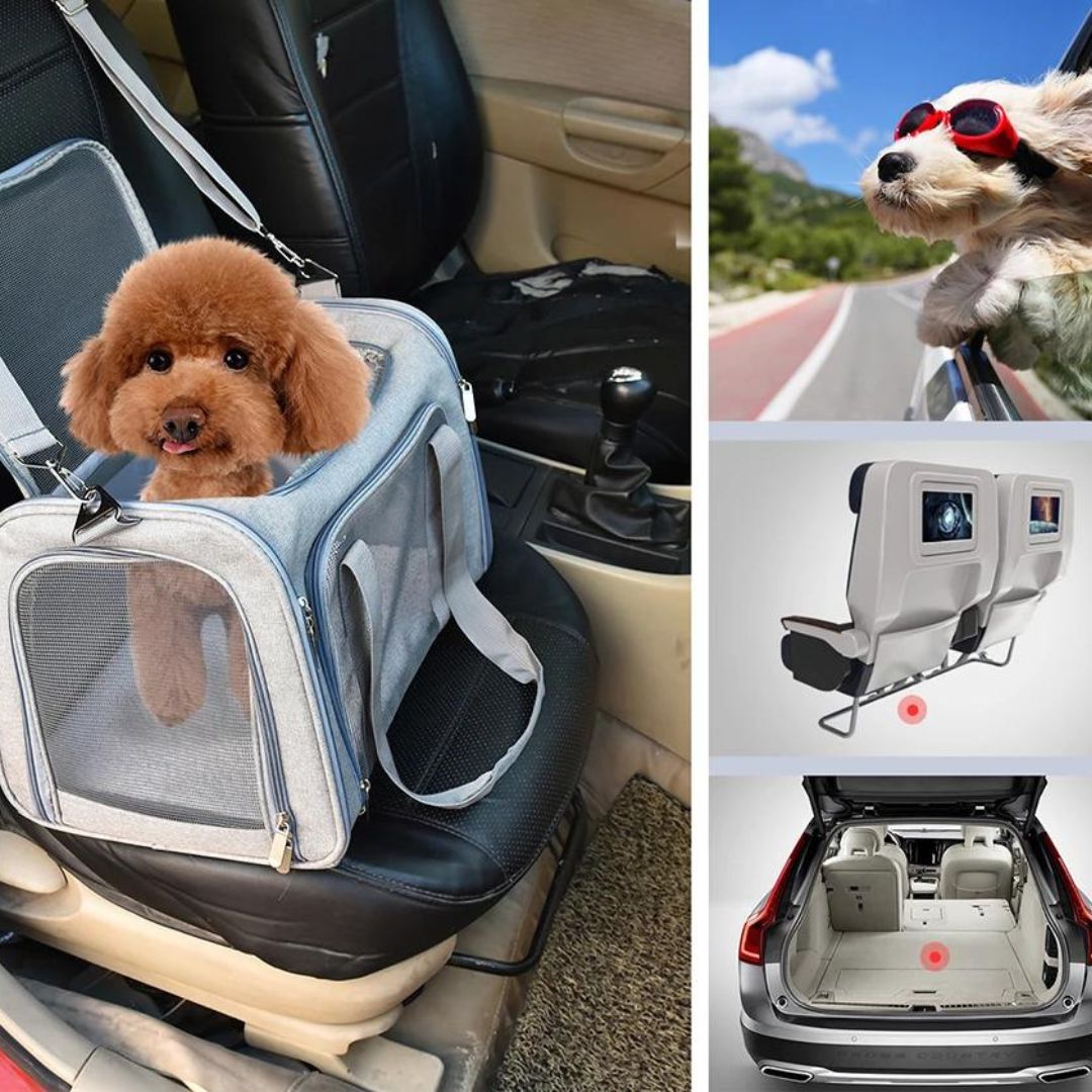 sac-transport-chien-multiusage