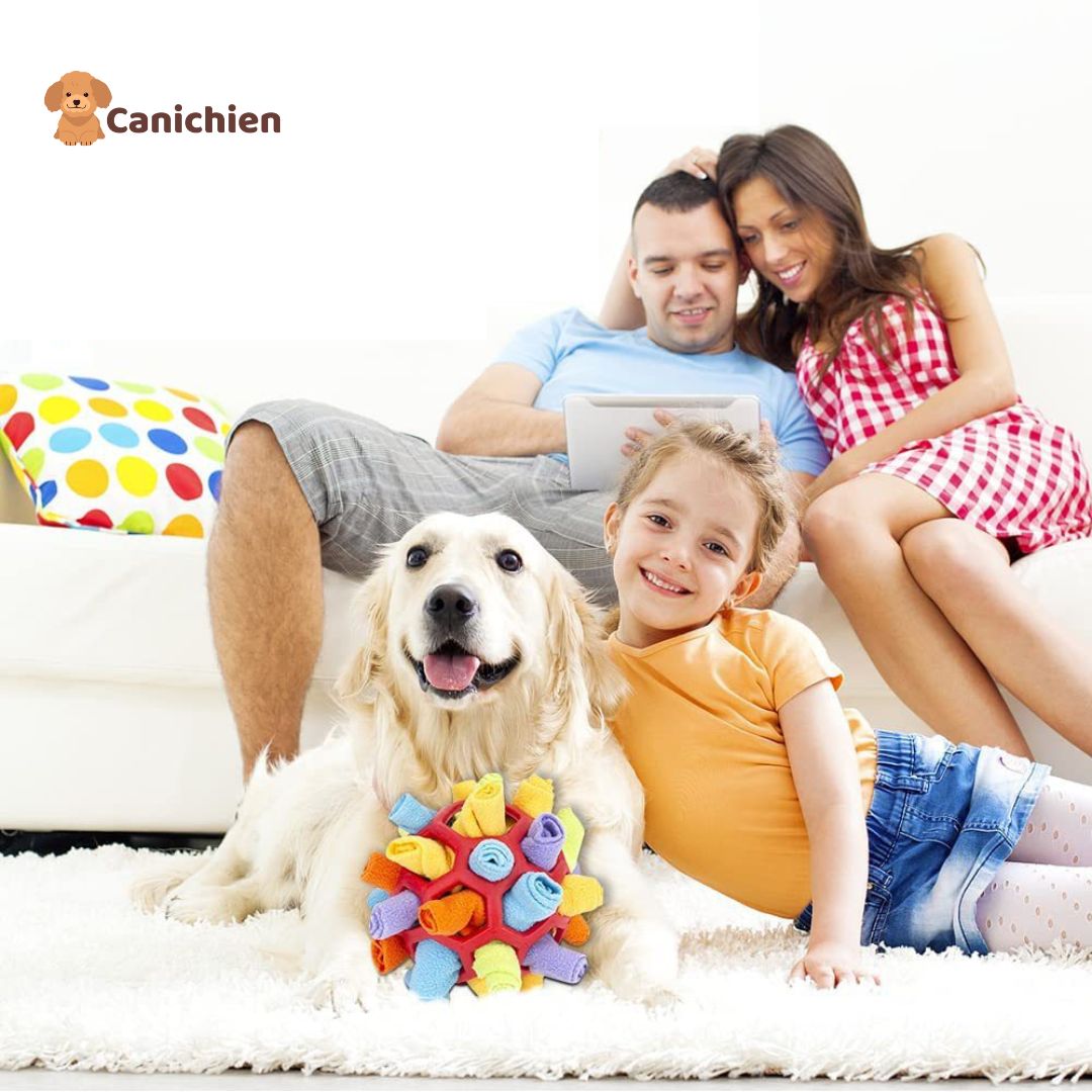 tapis-de-fouille-chien-avec-enfant