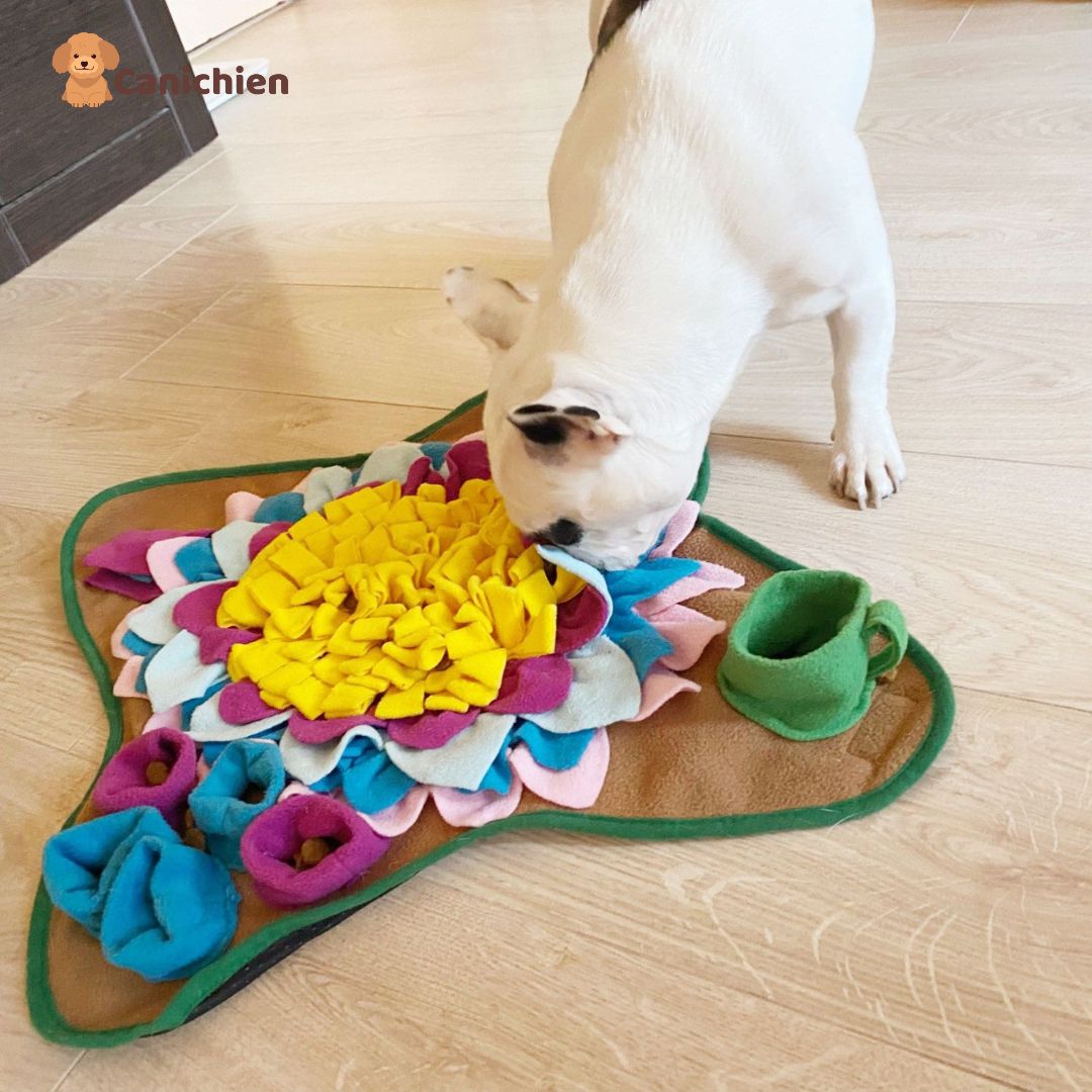 tapis-de-fouille-chien-bouledogue