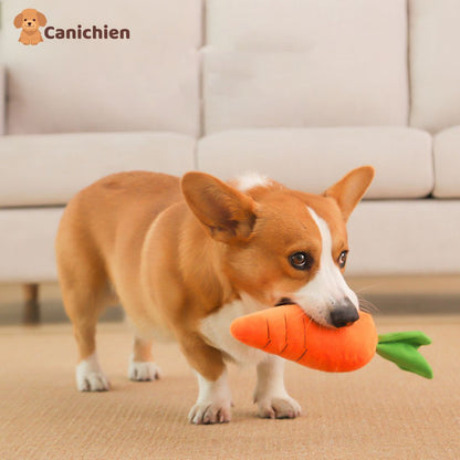 tapis-de-fouille-chien-carotte
