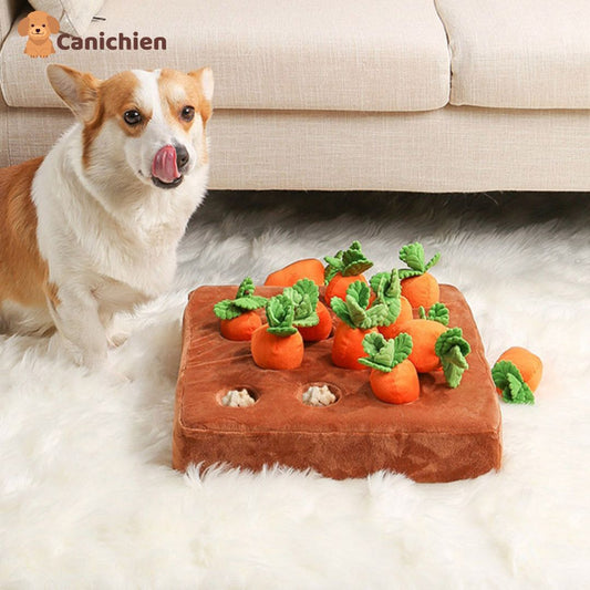tapis-de-fouille-chien-en-action-photo