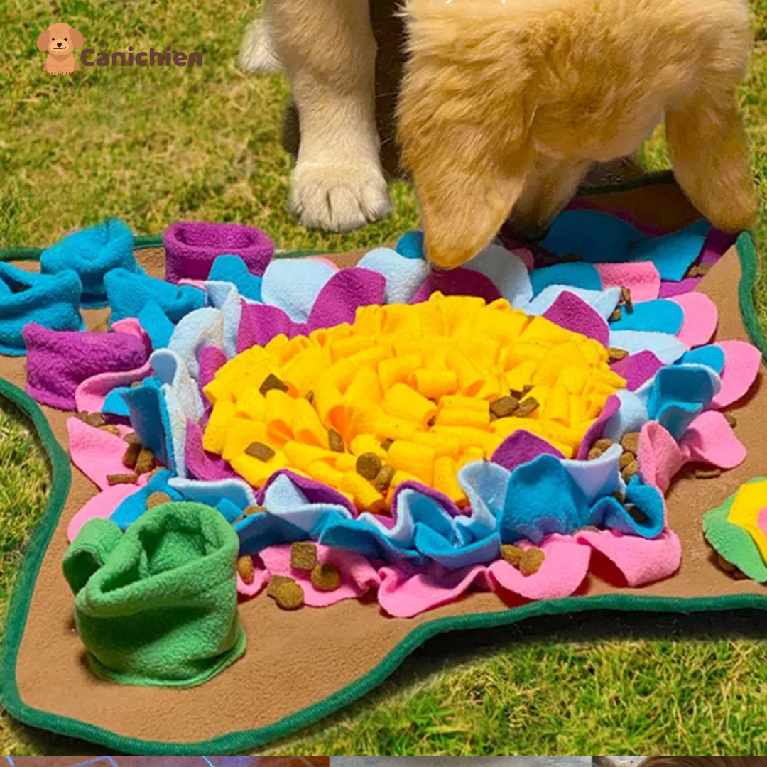 tapis-de-fouille-chien-en-exterieure