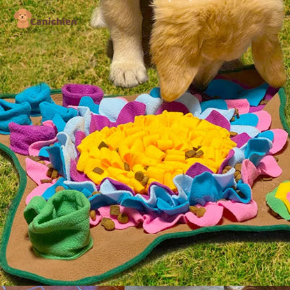 tapis-de-fouille-chien-en-exterieure