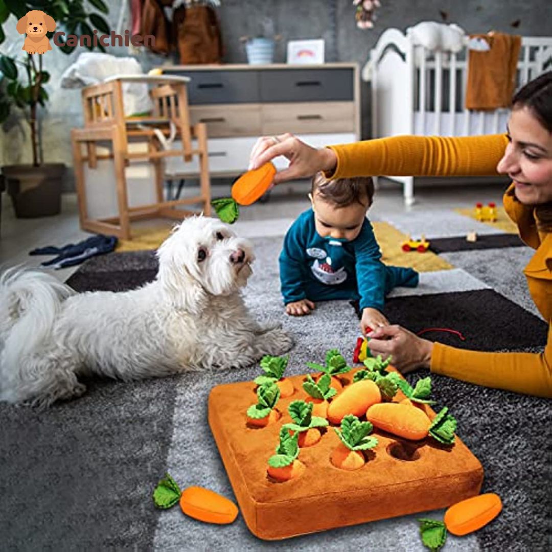 tapis-de-fouille-chien-en-famille