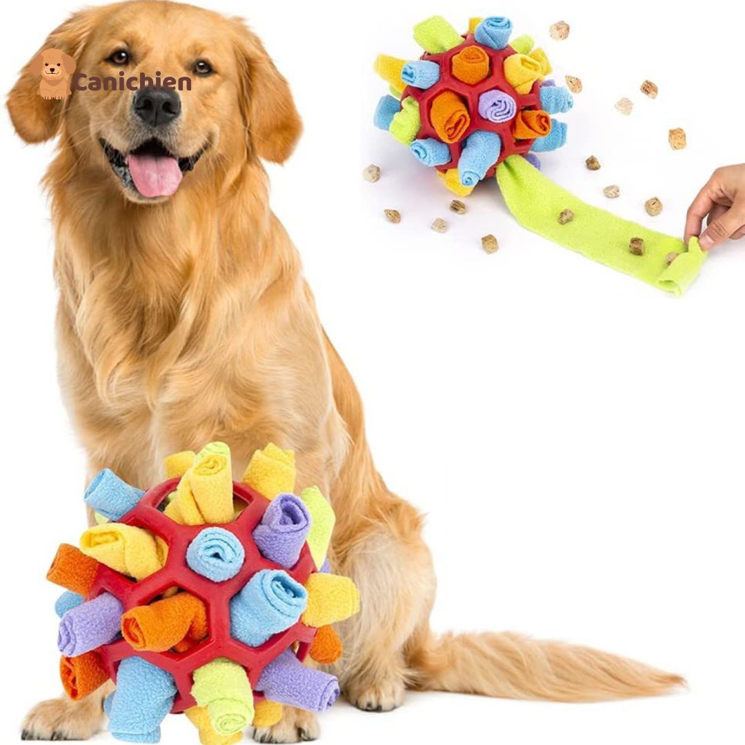 tapis-de-fouille-chien-raprochement