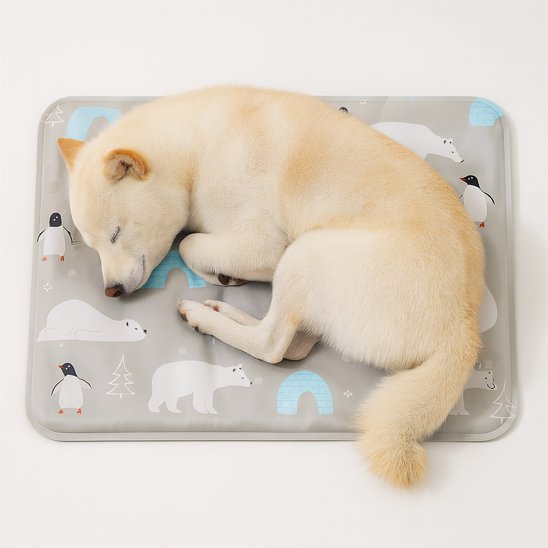 tapis-rafraichissant-chien-ete