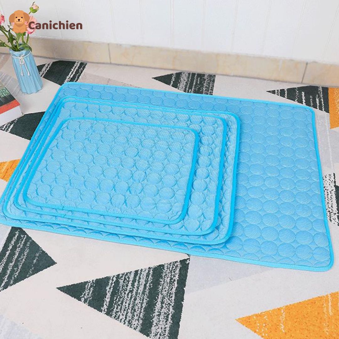 tapis-rafraichissant-chien-taille