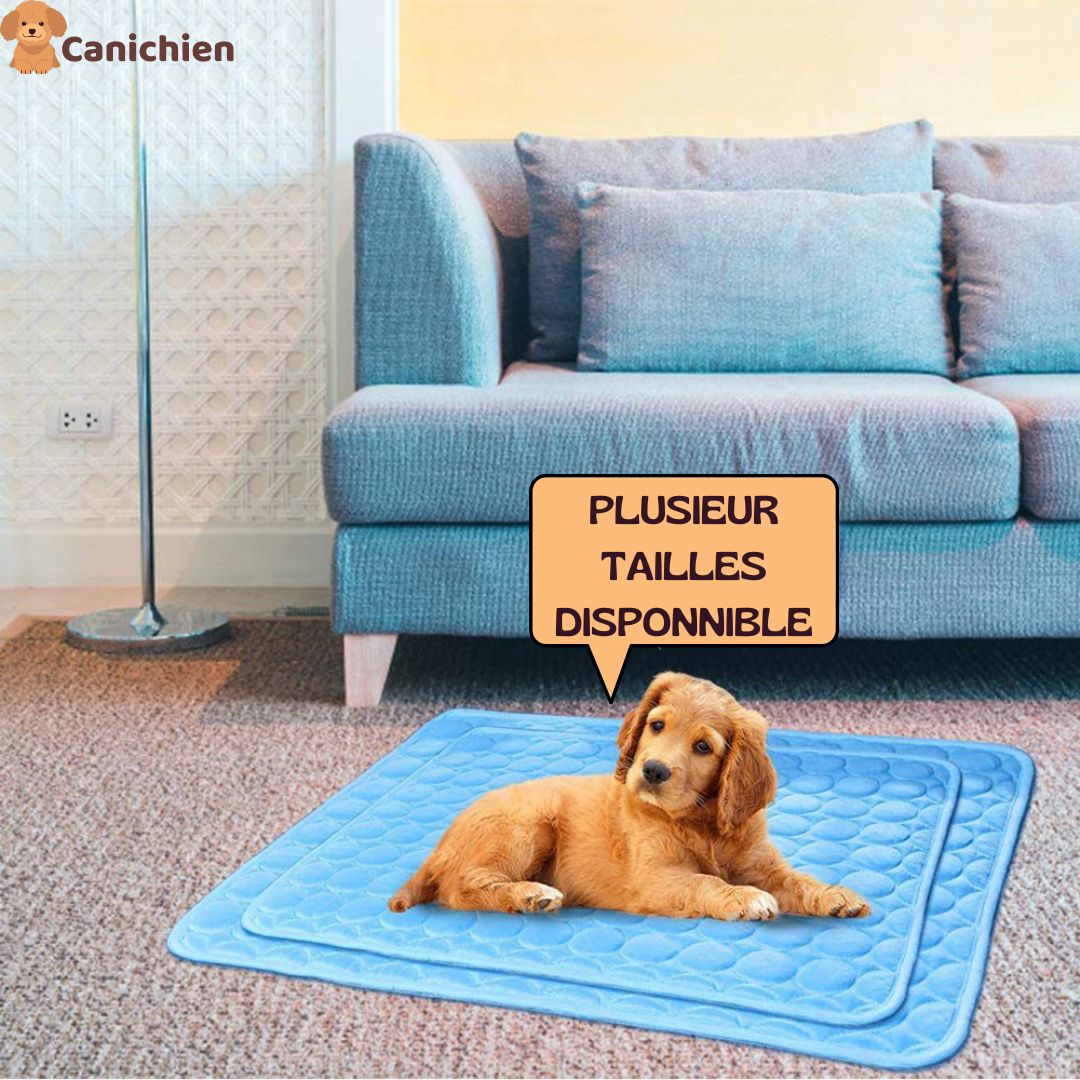 tapis-rafraichissant-chien-taille