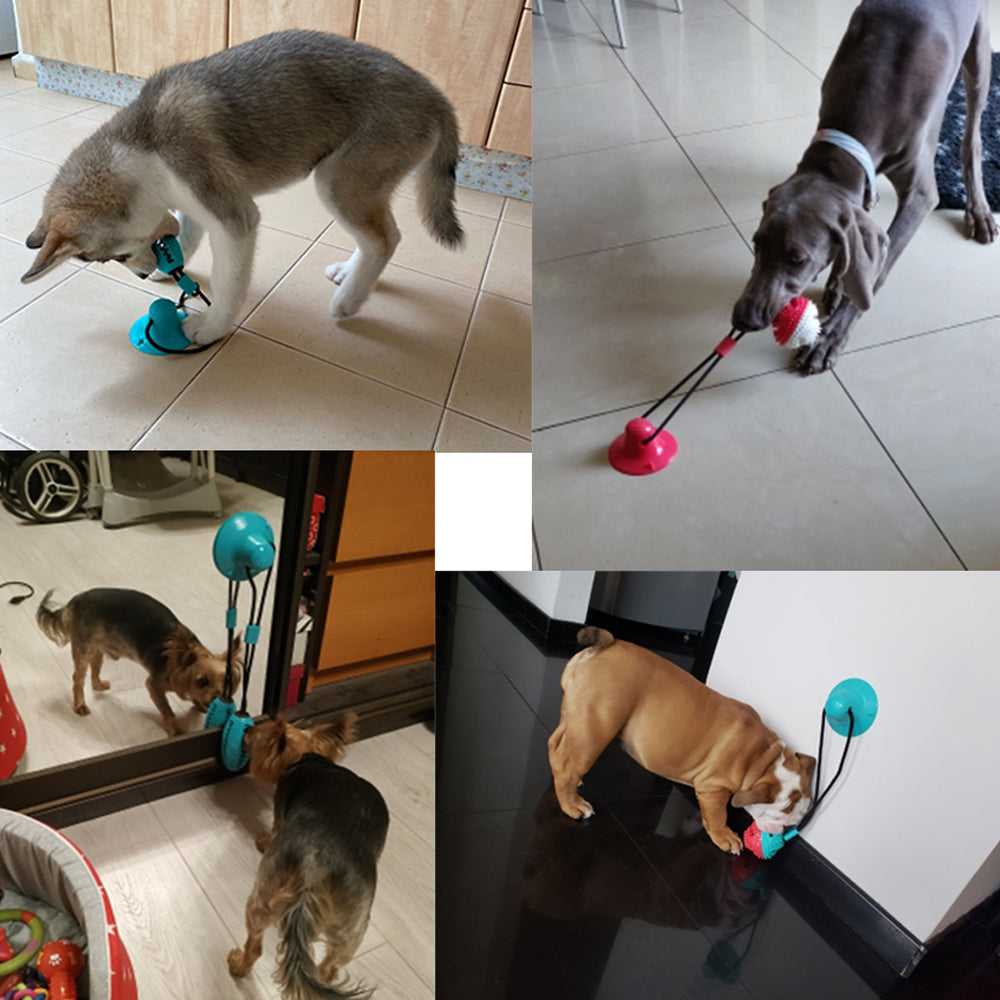 balle-pour-chien-jouet-chien-anti-stress