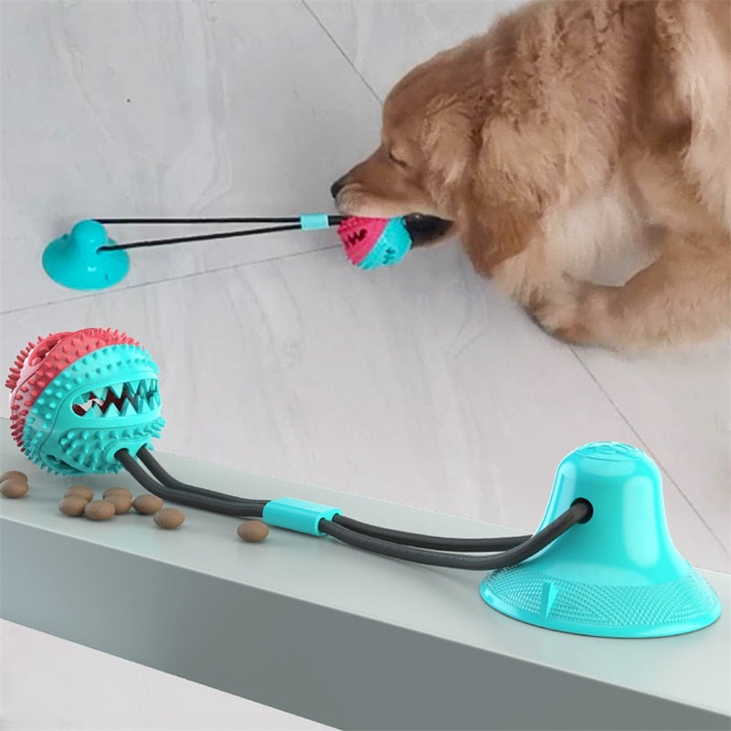 balle-pour-chien-jouet-chien-anti-stress
