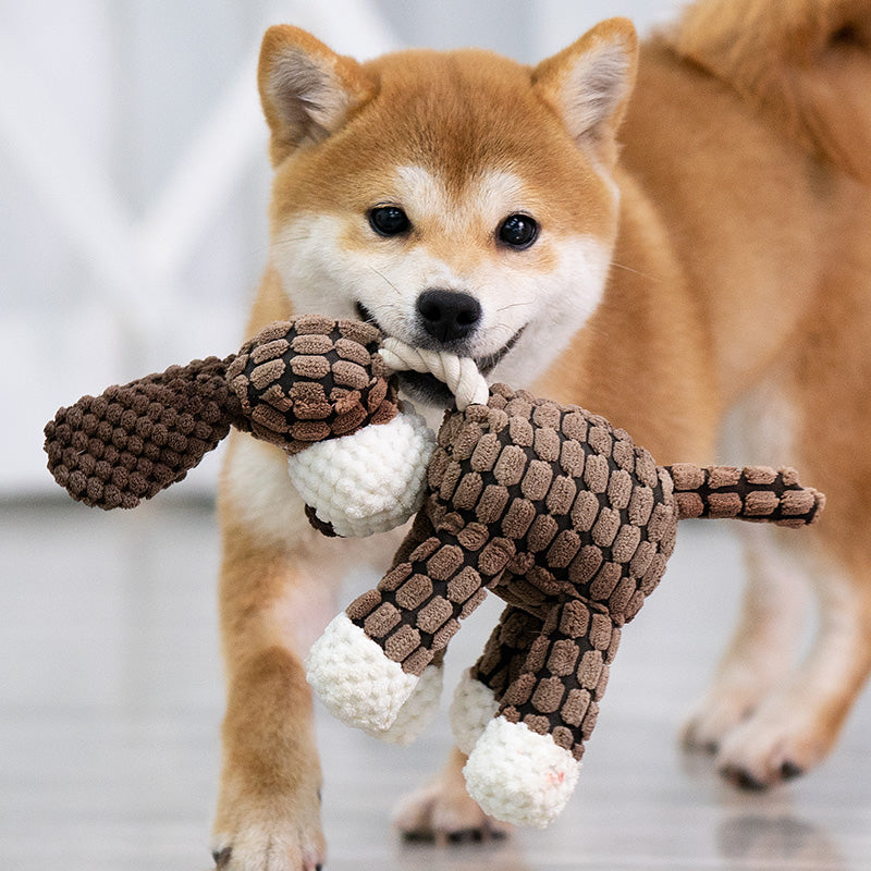 Peluche-pour-chien