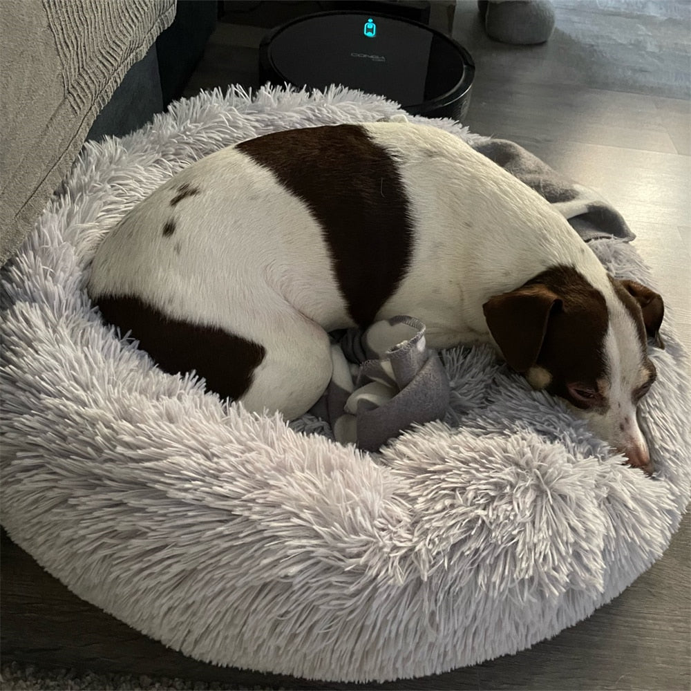 coussin-chien-xxl-gris-chien-qui-dort
