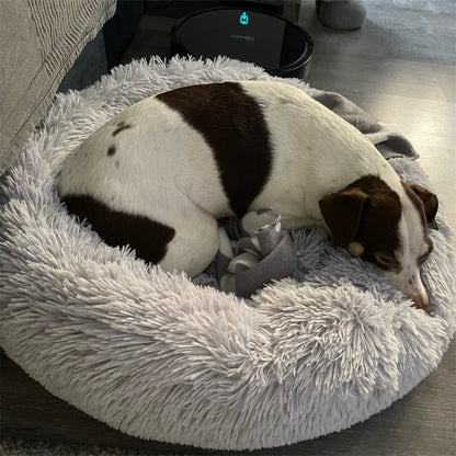 coussin-chien-xxl-gris-chien-qui-dort