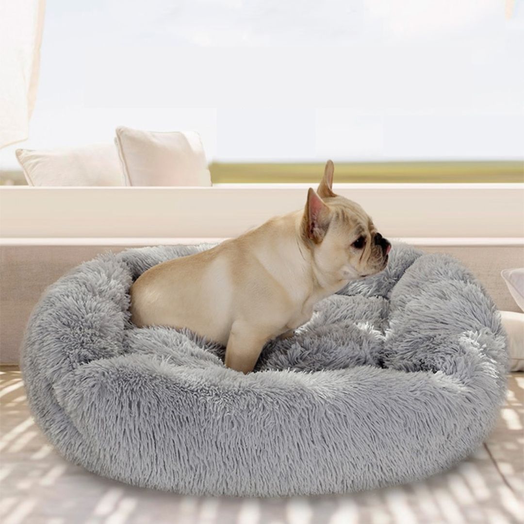 coussin-pour-chien-apaisant-gris